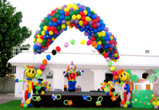 Birthday party organisers